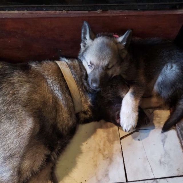 Profile Picture of Jason Hirsch (@jasonhirsch7) on Tiktok