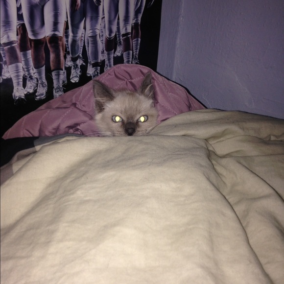 Profile Picture of Scott Baxter (@sssbaaxter) on Poshmark