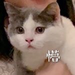 小符 - Instagram Profile Picture of 小符 (@lily_xiaofu) on Instagram