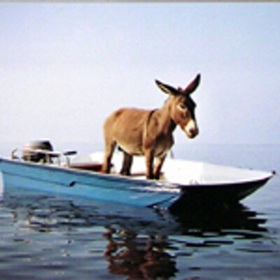 Henry King - Twitter Profile Picture of Henry King (@manofstring) on Twitter