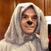 Profile Picture of Harry Reifschneider (@jarheadatunm) on Pinterest