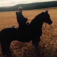 Profile Picture of Steven Snider (@steven-snider-13) on Quora