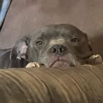 Profile Picture of Craig Maag (@Craig-Maag) on Facebook