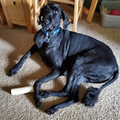 Profile Picture of Julia Warren (@juliawarren6379) on Youtube