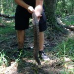 Profile Picture of tyler Kersey (@crotalus_horridus1) on Instagram