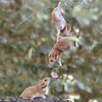 Profile Picture of Maryanne Dobrilla (@maryanne-dobrilla) on Quora