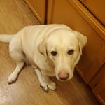 Profile Picture of you know if you know.... (@ronald_hicks987) on Instagram