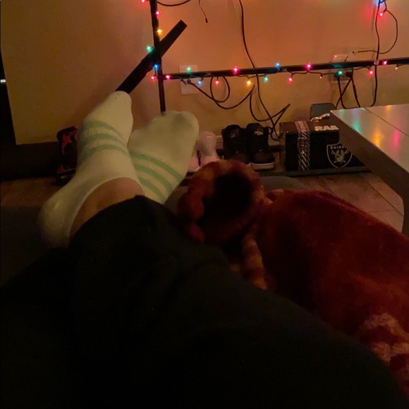 Profile Picture of Alexia Tabares (@alexiakuhina) on Poshmark