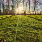 Profile Picture of Mindaugas Samkus (@bazamingis) on Instagram