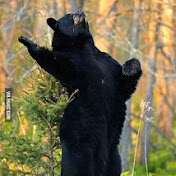 Profile Picture of Hosse (@ESaustria) on Youtube