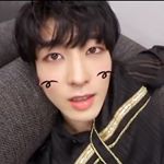 Profile Picture of WONWOO 𝕃𝕦𝕔𝕜𝕪 𝕚𝕟 𝕄𝕪 𝕃𝕚𝕗𝕖⁷¹⁷🍀🦊 (@wonwoo.diary717) on Instagram