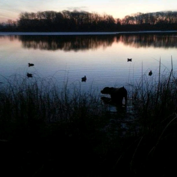 Profile Picture of James Garrett (@chasenfeathers) on Poshmark