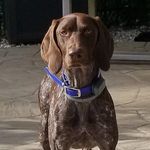 Profile Picture of Craig Fraley (@craig.fraley.10) on Instagram