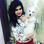 Harry Dog Farm Ludhiana - Instagram Profile Picture of Harry Dog Farm Ludhiana (@harrysharma16700) on Instagram