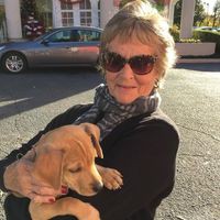 Profile Picture of Fran Carpenter (@fran-carpenter-7) on Quora