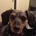 Profile Picture of Gretta Mitchell (@profile.php) on Facebook