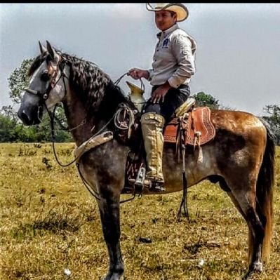 Profile Picture of Bryan Botello (@BotelloArmand) on Twitter