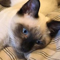 Profile Picture of Beth Quintero (@beth-quintero-1) on Quora