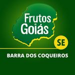 Profile Picture of Frutos de Goiás - Barra dos Coqueiros/SE (@frutosdegoiasbarra) on Instagram