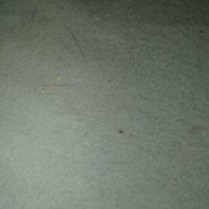 Christopher Annas - Twitter Profile Picture of Christopher Annas (@annaschris24) on Twitter