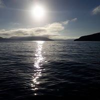 Profile Picture of Tracey Davey (@tracey-davey-1) on Quora