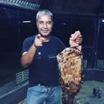 Profile Picture of Marcesan (@marcelo.sanchez.9465177) on Instagram