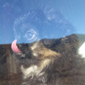 Profile Picture of Ani Mazmanyan (@animazmanyan5112) on Youtube