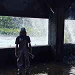 Profile Picture of Ryan Boyer (@thebackwoodsbastard) on Instagram