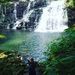 Profile Picture of Kevin Alban (@kevn899) on Pinterest