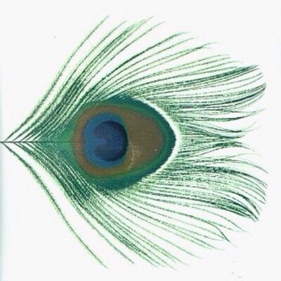 Profile Picture of Tom Morrissey (@seymor9) on Twitter