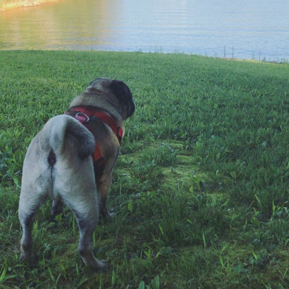 Profile Picture of Stein (@steinbaugh) on Tiktok