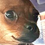 Profile Picture of dylan hardy. (@ddylanhardy) on Instagram