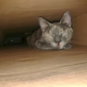 Profile Picture of Kevin Beckett (@victorkevinuk92) on Youtube