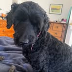 Profile Picture of Kerri Jacobson (@kerri.jacobson.309260) on Facebook