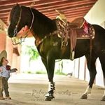 Profile Picture of Carlos Granillo (@carlos.granillo.7146) on Instagram