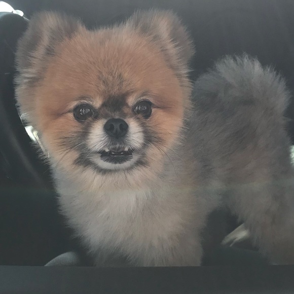 Profile Picture of Brandie Bleess (@brandielynnn) on Poshmark