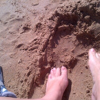 Profile Picture of Catherine Hardie (@cat89_21326) on Twitter
