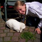 Profile Picture of Kelly van Leeuwen (@kelly_van_leeuwen) on Instagram