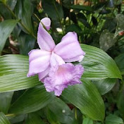 Profile Picture of Isabel Matamoros (@isabelmatamoros6403) on Youtube