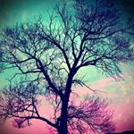 Profile Picture of Aaron Pająk (@aaron.pajak.18) on Instagram