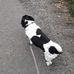 Profile Picture of Frank Chester (@frank.chester.7505) on Facebook