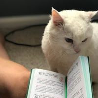 Profile Picture of Luz Sanchez (@luz-sanchez-91) on Quora