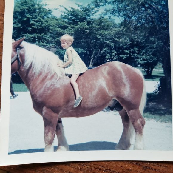 Profile Picture of Haley Perrin (@knowhaley) on Poshmark