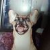 Profile Picture of Danny Emrick (@danny.emrick.779) on Facebook