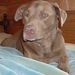 Profile Picture of Randy Ralls (@randyralls73) on Pinterest