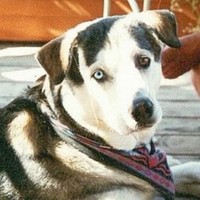 Angie Penrose - Quora Profile Picture of Angie Penrose (@angie-penrose) on Quora