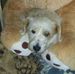 Profile Picture of Rebecca Adkins (@rebecca.adkins.3538) on Facebook