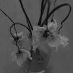 Profile Picture of Michael Turrigiano (@schoolhouse_creek) on Instagram