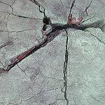 Profile Picture of luizfelipesalgado (@luizfelipesalgado) on Flickr