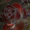 Profile Picture of Badulescu Badulescu (@Badulescu-Badulescu) on Facebook
